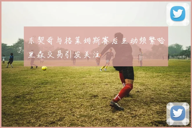 东契奇与格莱姆斯赛后互动频繁哈里森交易引发关注